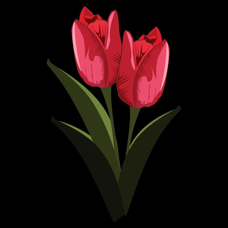 tulips