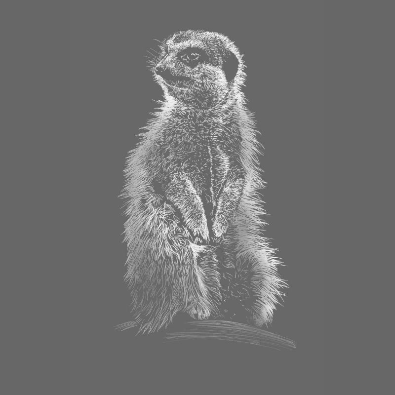 Erdmännchen