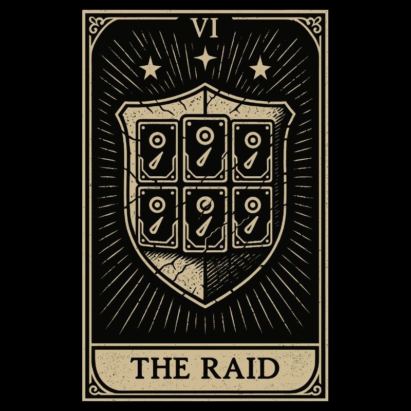 Tarot Datahoarding: Der RAID-Schutz