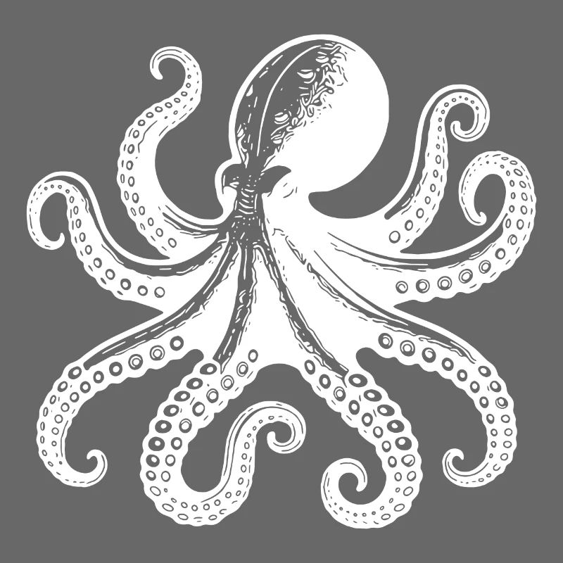 Large Squid Octopus with Eight Arms