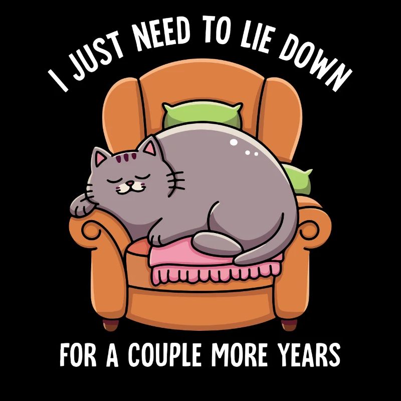 Sleeping Lazy Cat