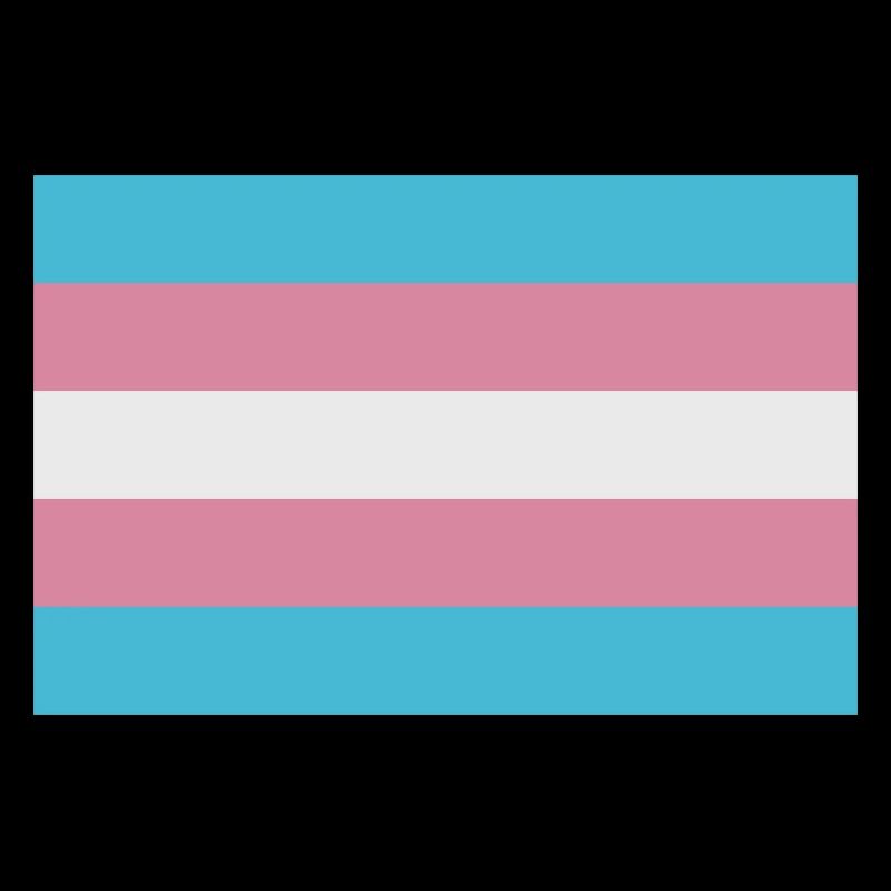 Trans-Flagge