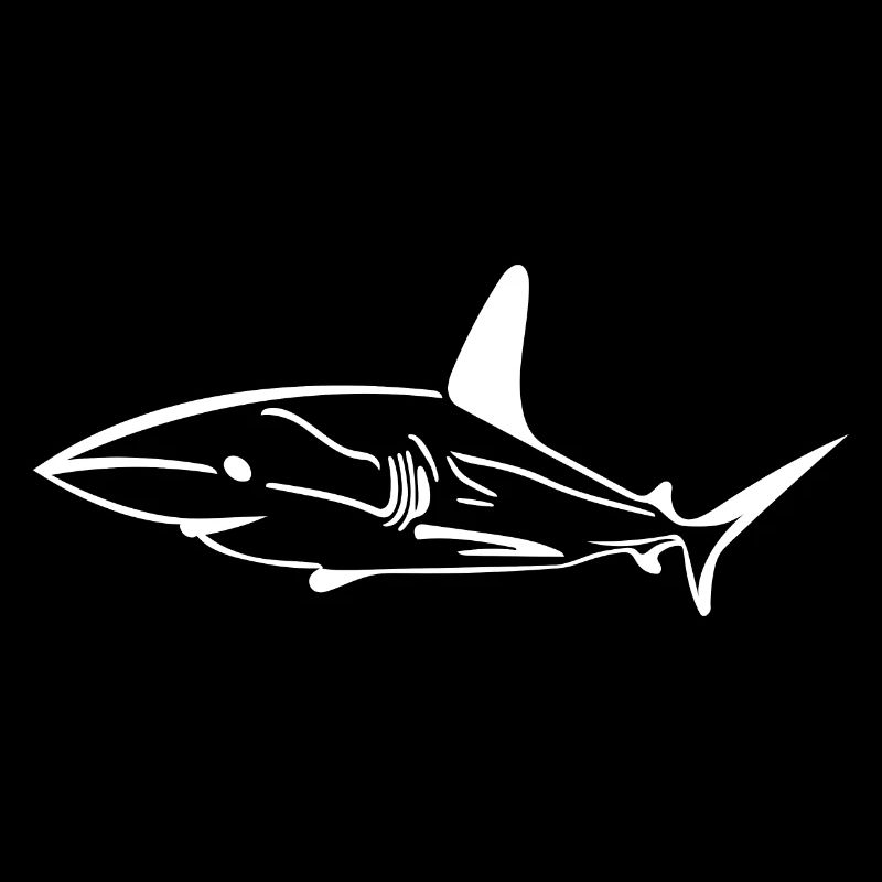 Elegant funny deep-sea shark