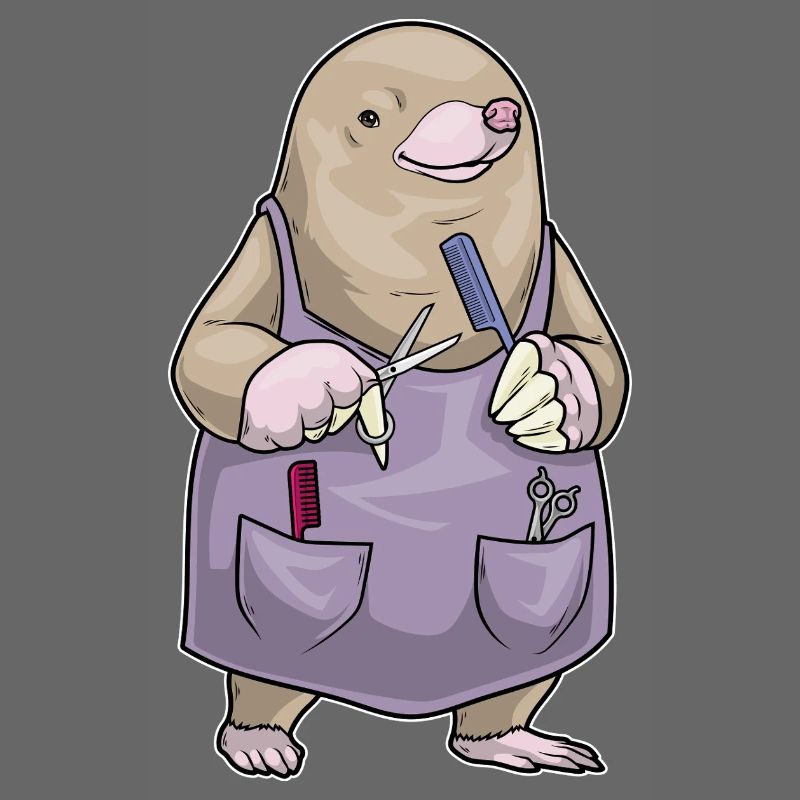 Peigne et ciseaux de coiffeur Mole