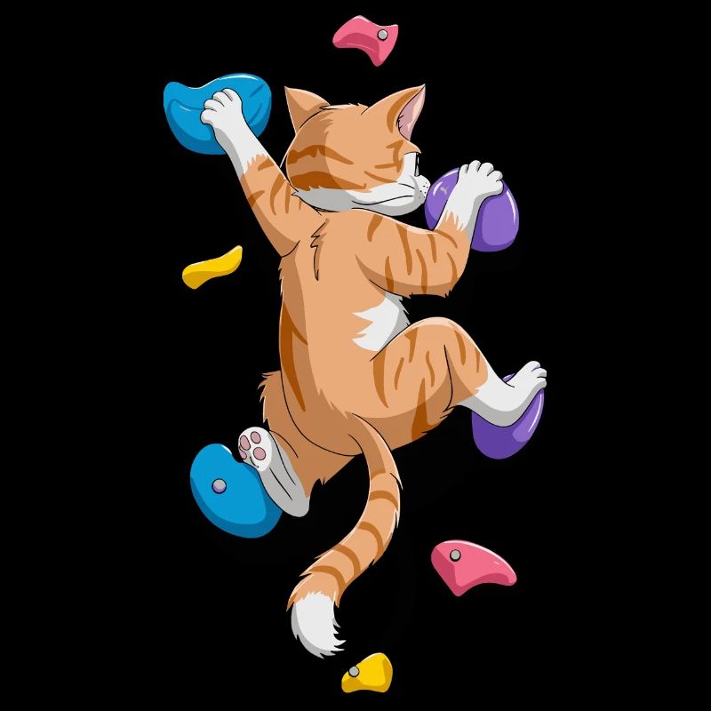 Lustige Boulder-Katze Felsenkletterns