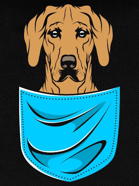 Rhodesian Ridgeback