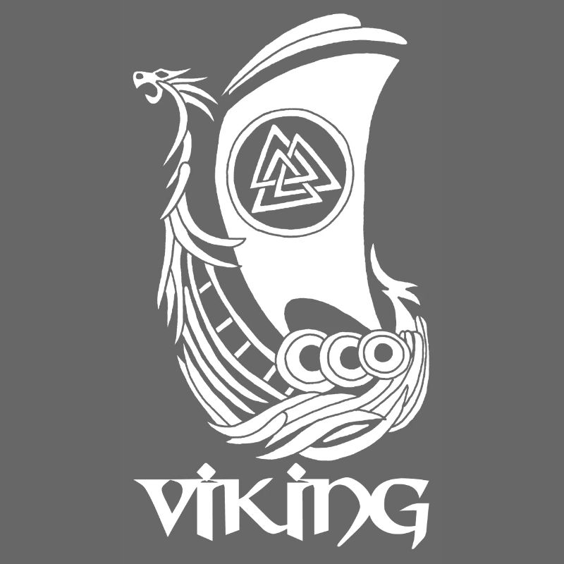 Bateau viking blanc