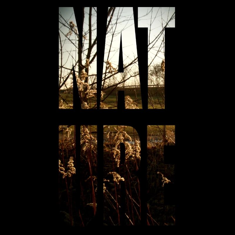 nature n ° 2