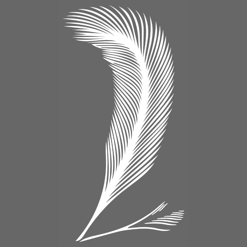 L’écriture de plumes comme expression de caractère