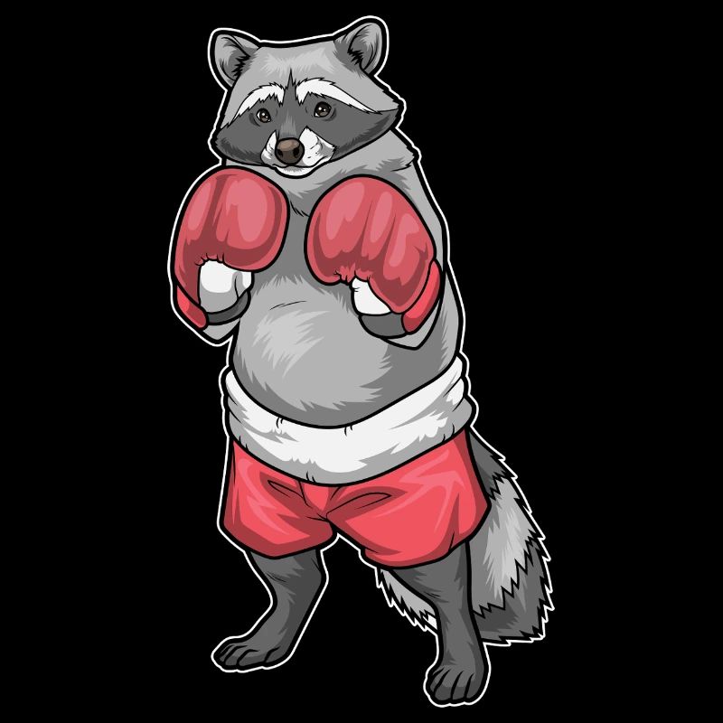 Waschbär Boxer Boxhandschuhe Boxen