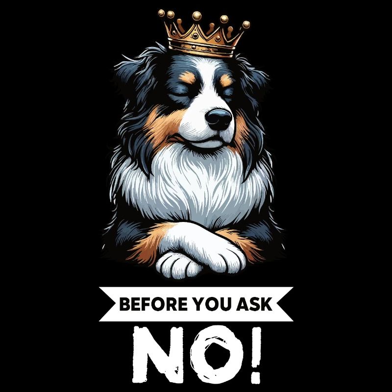 Before You Ask Australian Shepherd Aussie Aussies