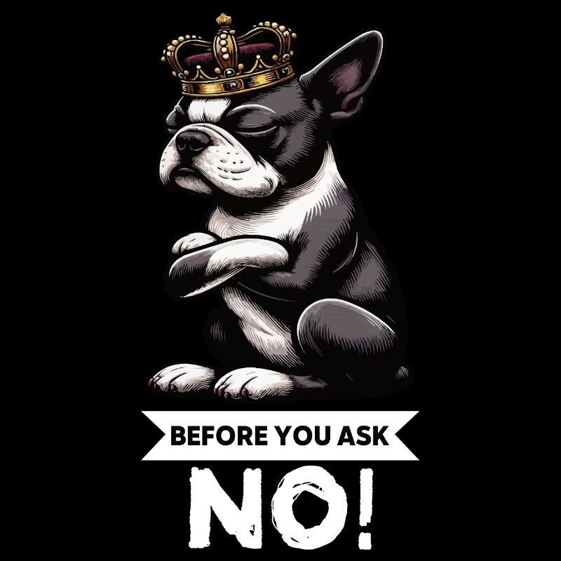 Avant de demander Boston Boston Boston terrier Bostie Bosti