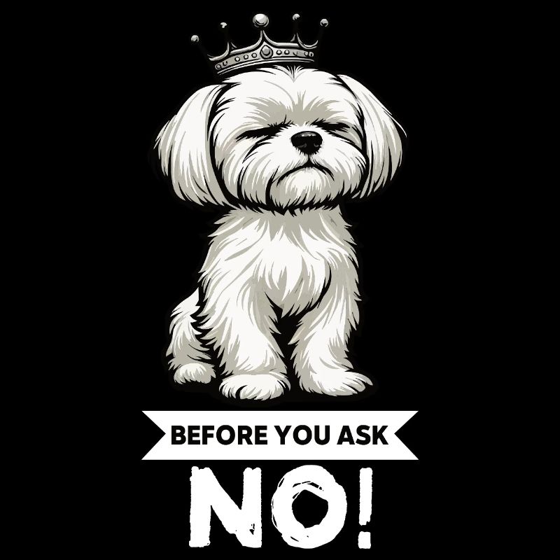 Before You Ask Malteser Malteserbesitzer Maltese