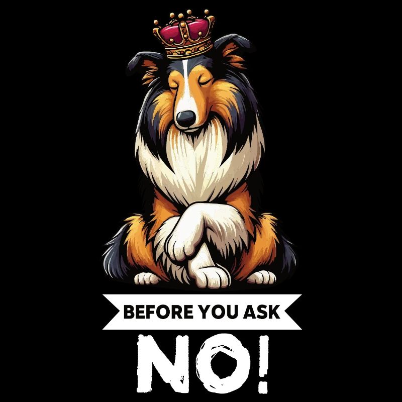 Before You Ask Collie Collieowner Collies