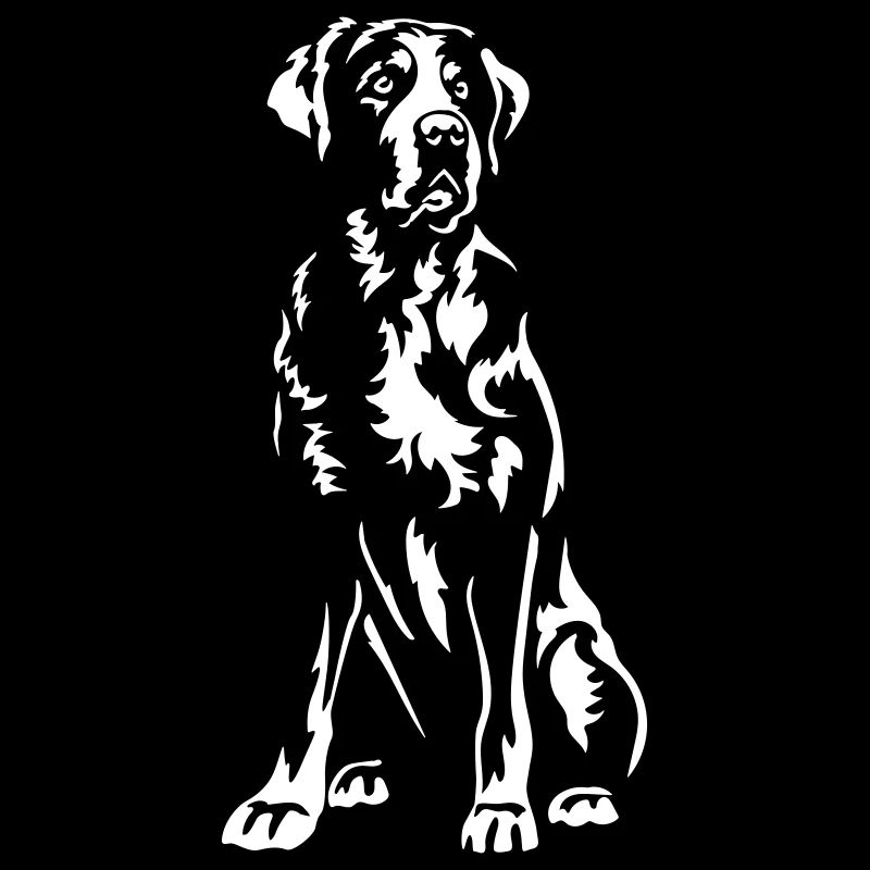 Grand Bouvier Suisse « Black Edition »