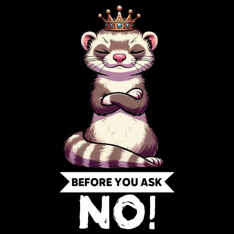 Before You Ask Ferret Ferret Owner Rodent