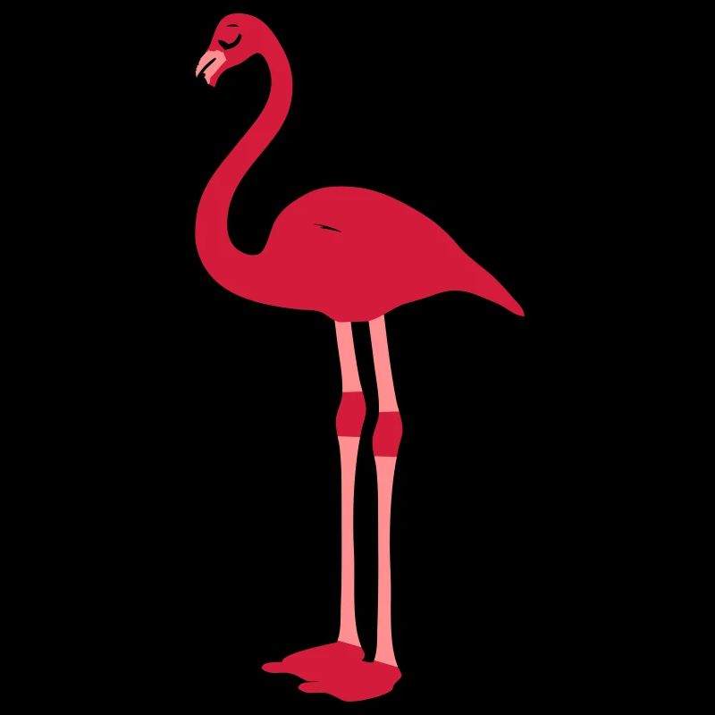 flamingo