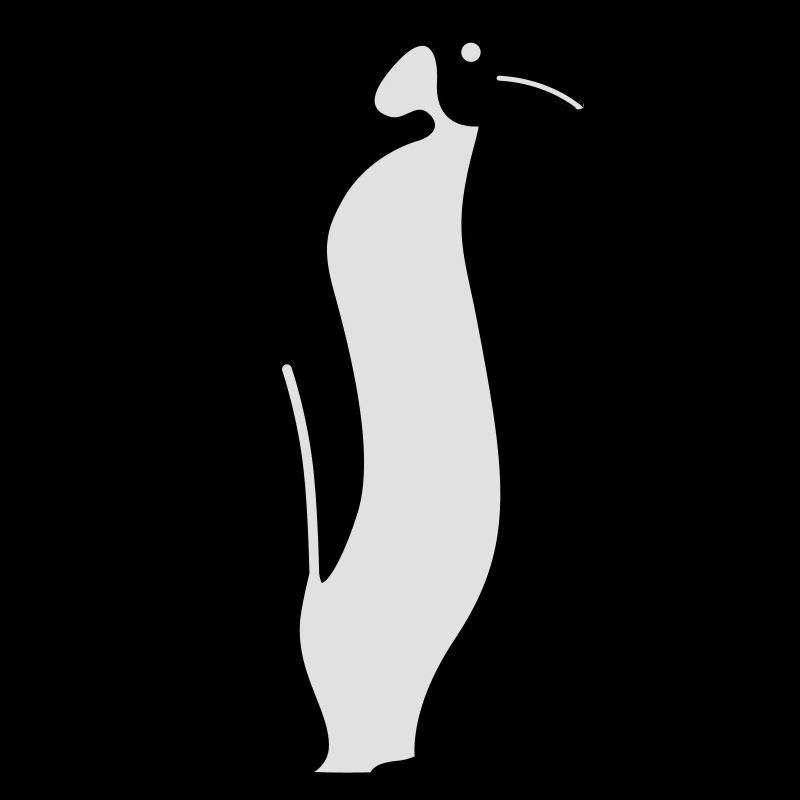 Pinguin pinguïn