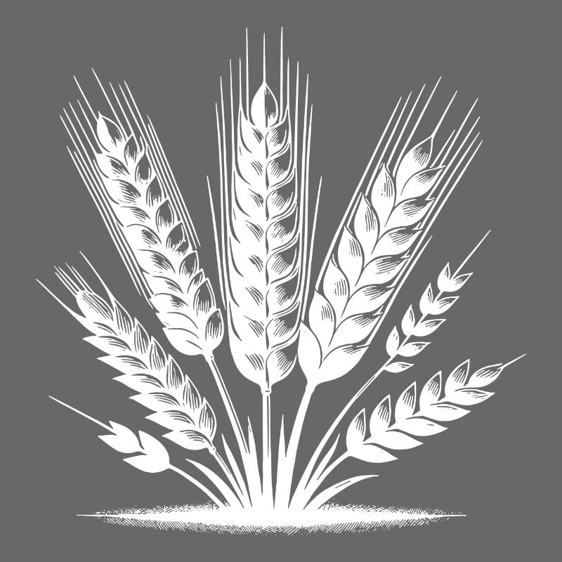 Différents grains