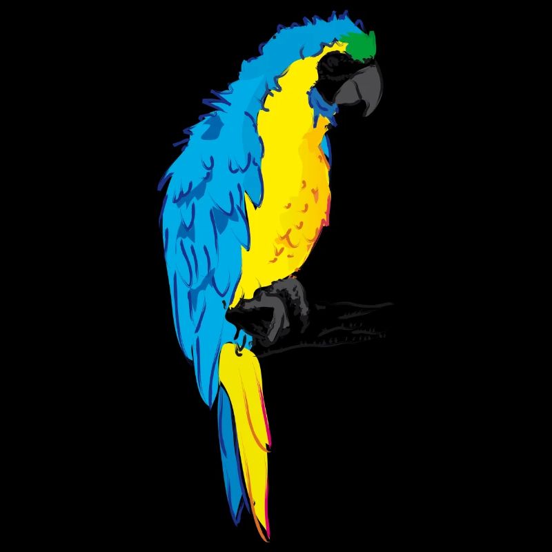 Ara perroquet jaune, dessin bleu