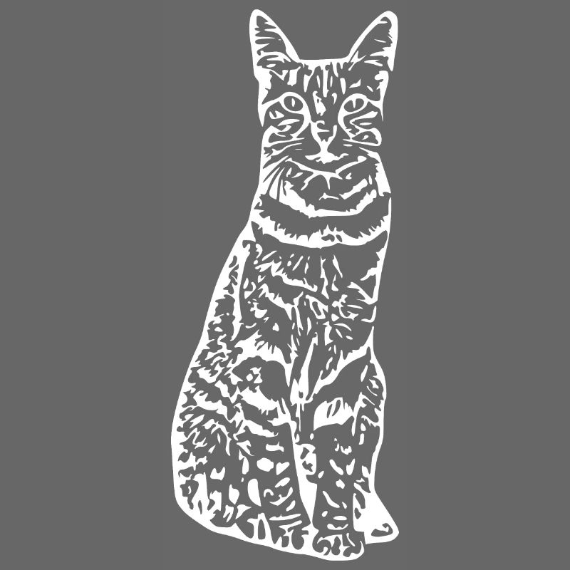 Chat chat chaton