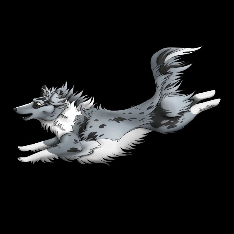 Blue Merle Shetland Sheepdog