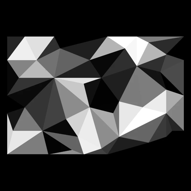 Polygon noir et blanc