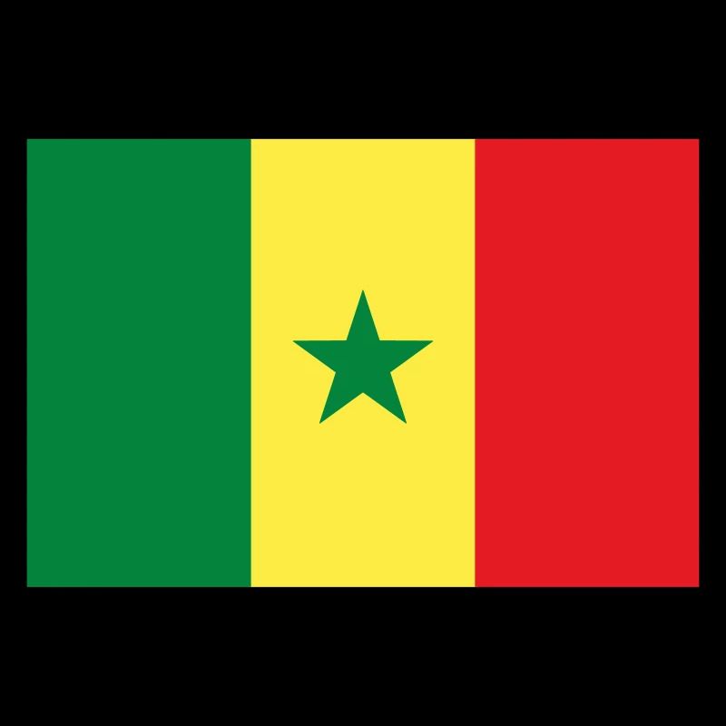 Drapeau Sénégal / Senegal flag
