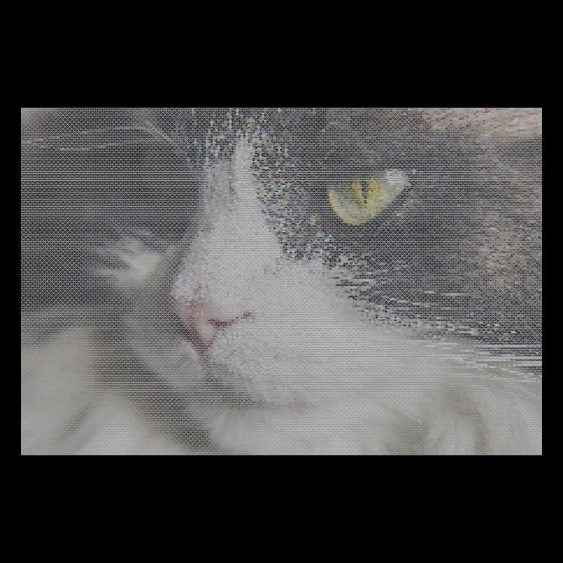 Portrait de chat au look glitch