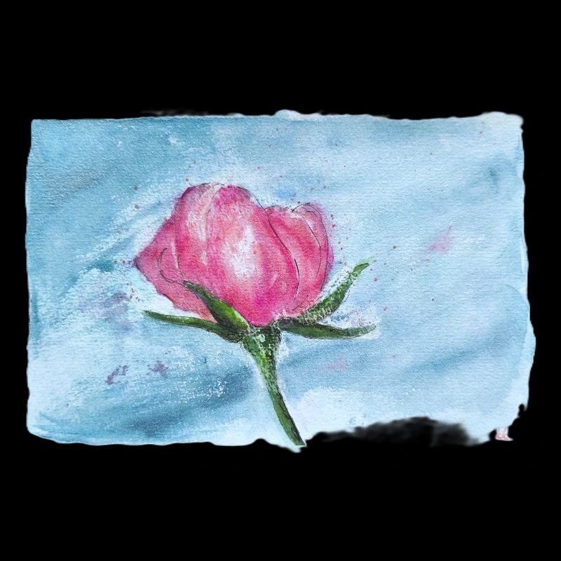 Rose aquarelle sur bleu ciel