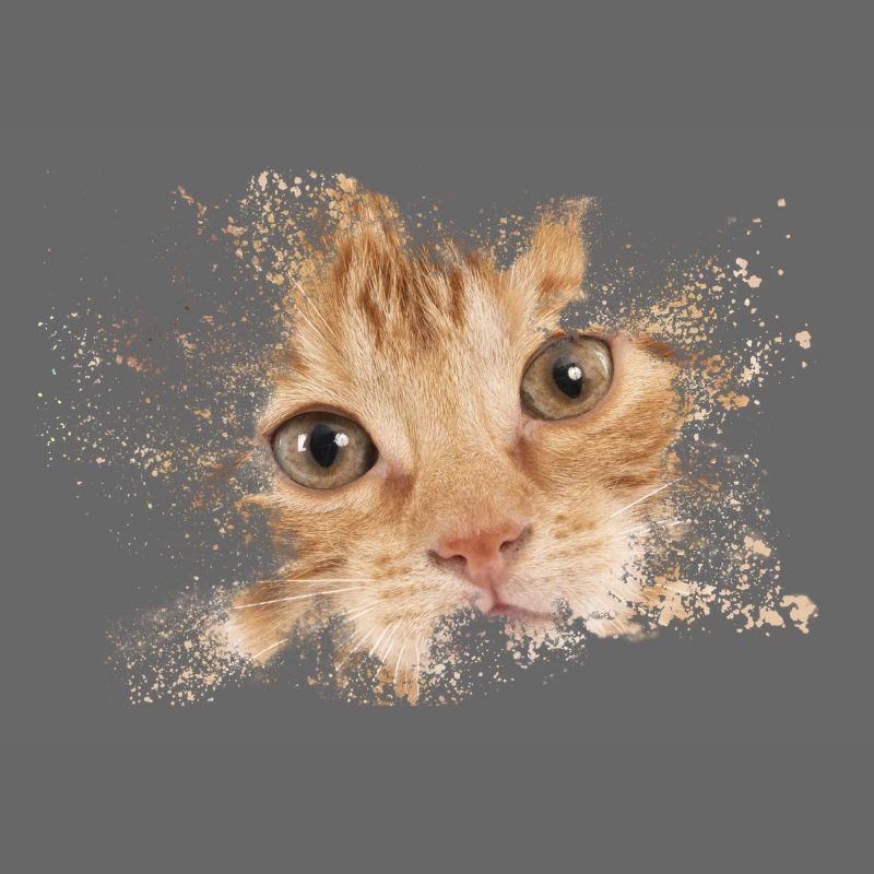 Chat orange avec éclaboussure d’aquarelle