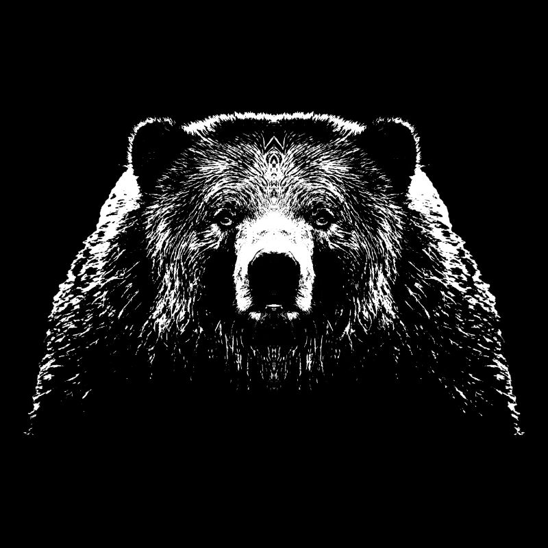 Ours / Tête / Ours