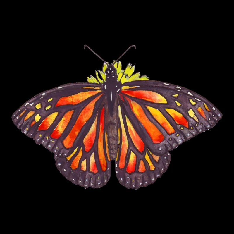 papillon monarque sur une fleur avec les ailes ouvertes