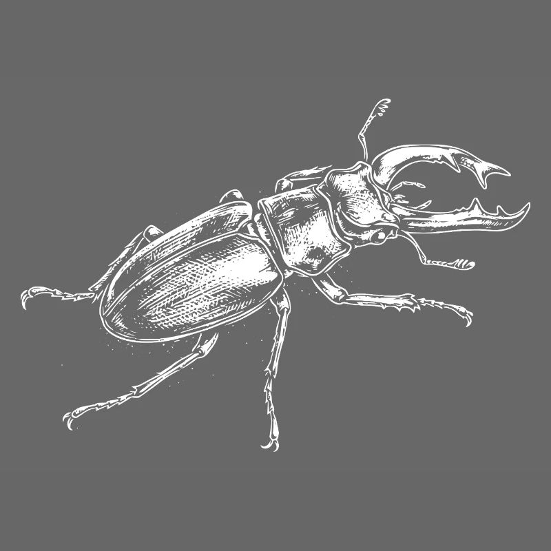 Big Insect Drawing-Design