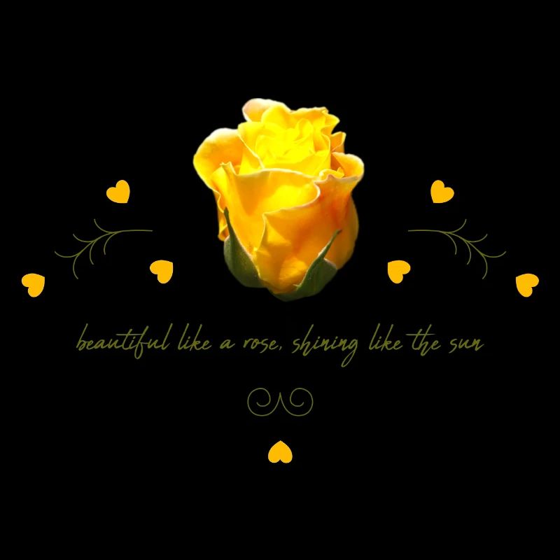rose beautiful yellow rose
