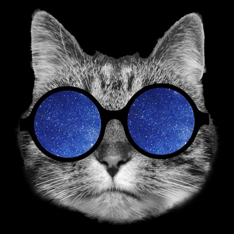 Galaxy cat
