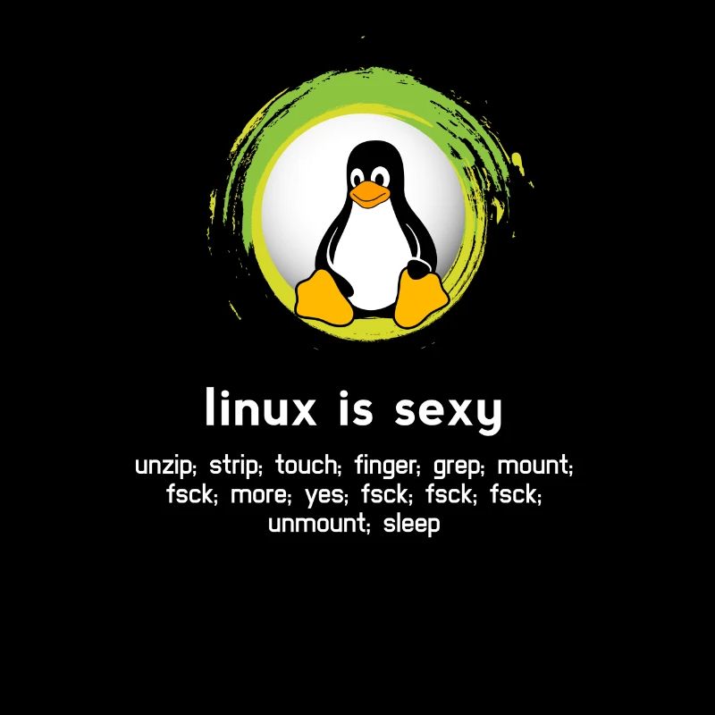 Computer System Pinguin Nerd pc inside code admin