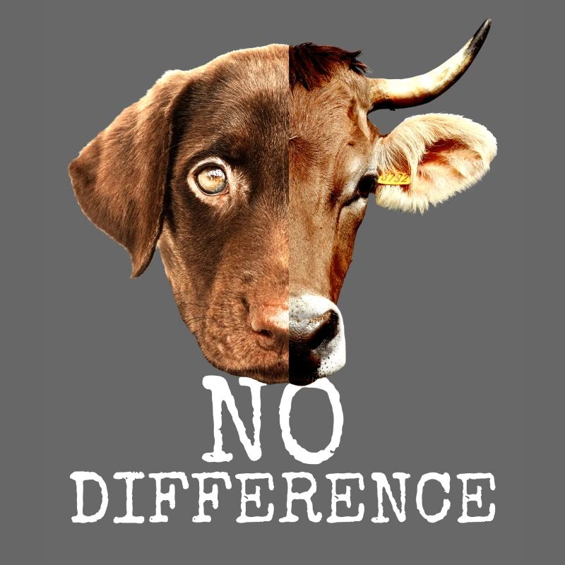 No Difference Pro Vegan Vegetarian Animal Welfare