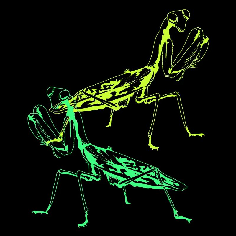 Insect Wildlife Praying mantis Insects Children