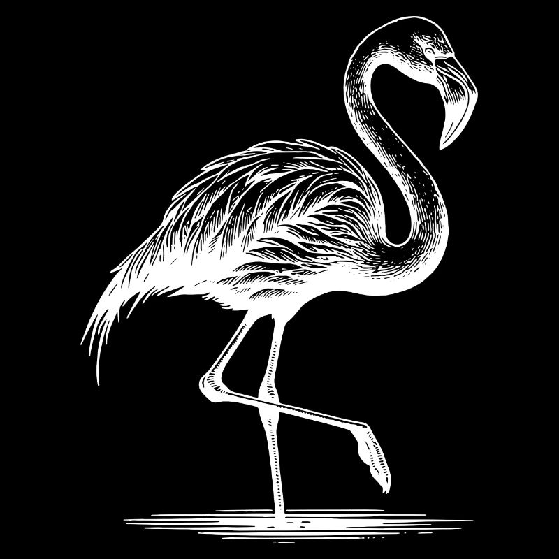 Hübscher Flamingo der auf einem Bein steht