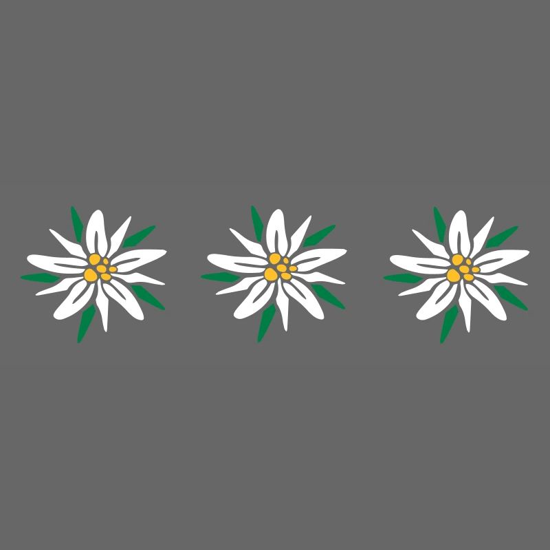 Edelweiss