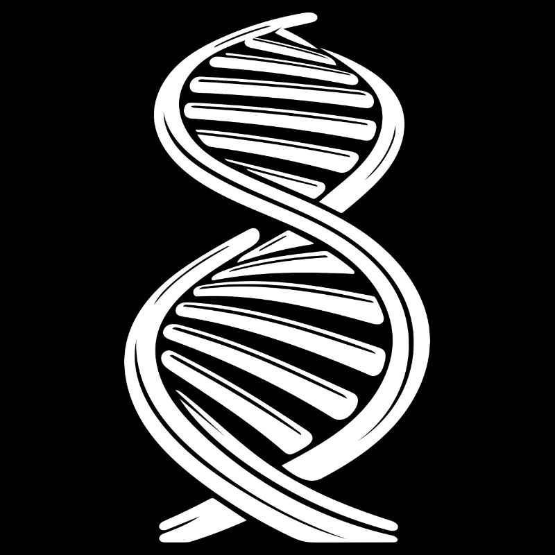 Nucleotide chain DNA strand double helix