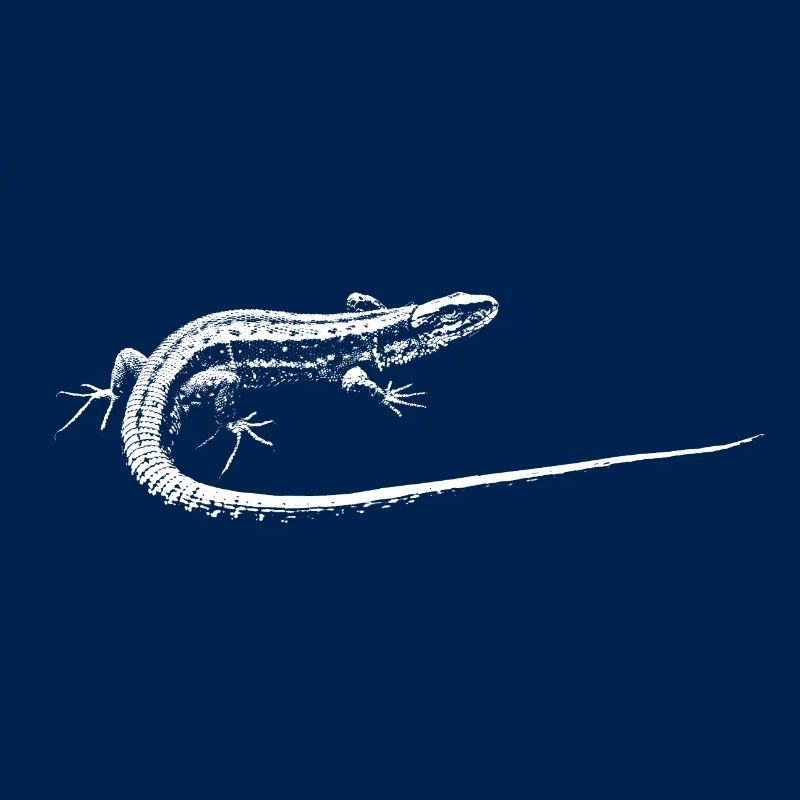 Eidechse / Lizard