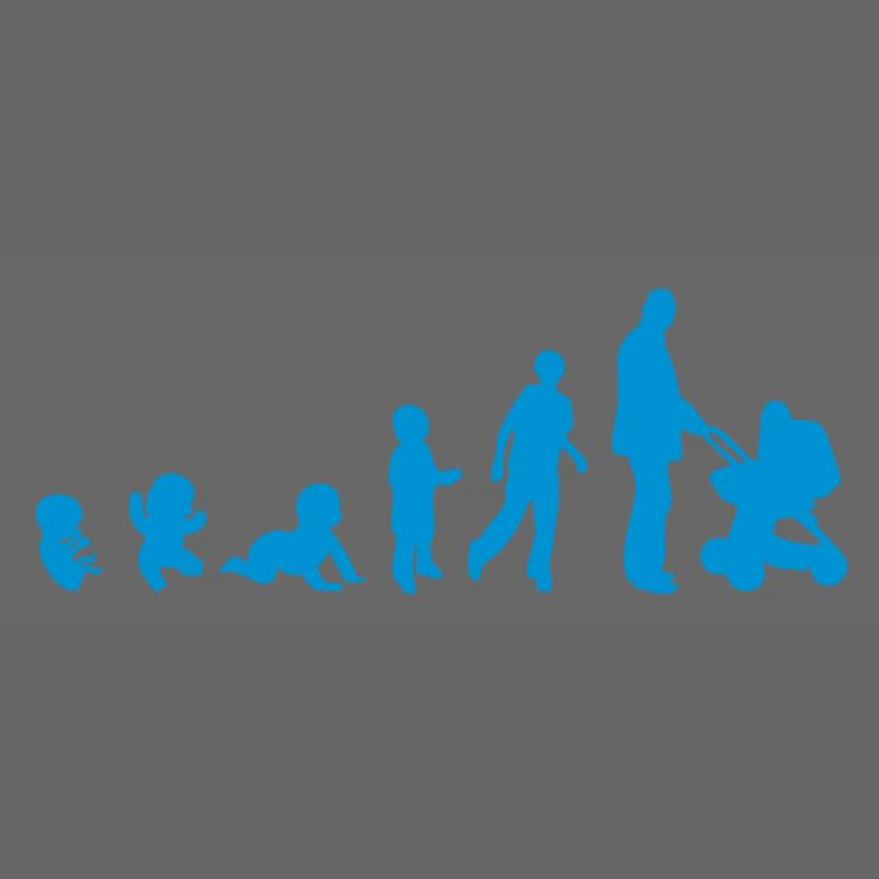 Evolution Kinderwagen dad dad stroller1