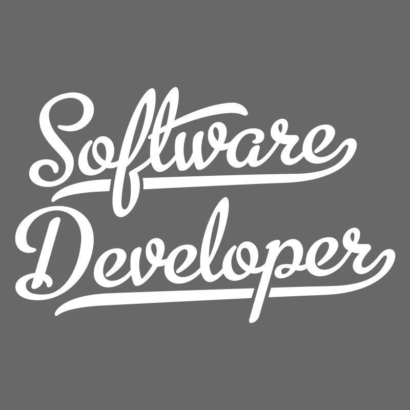 Software Developer