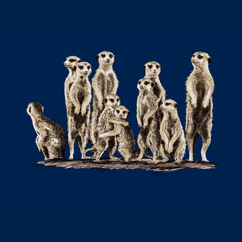 Erdmännchen
