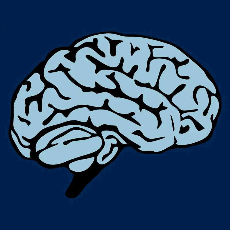 brain design