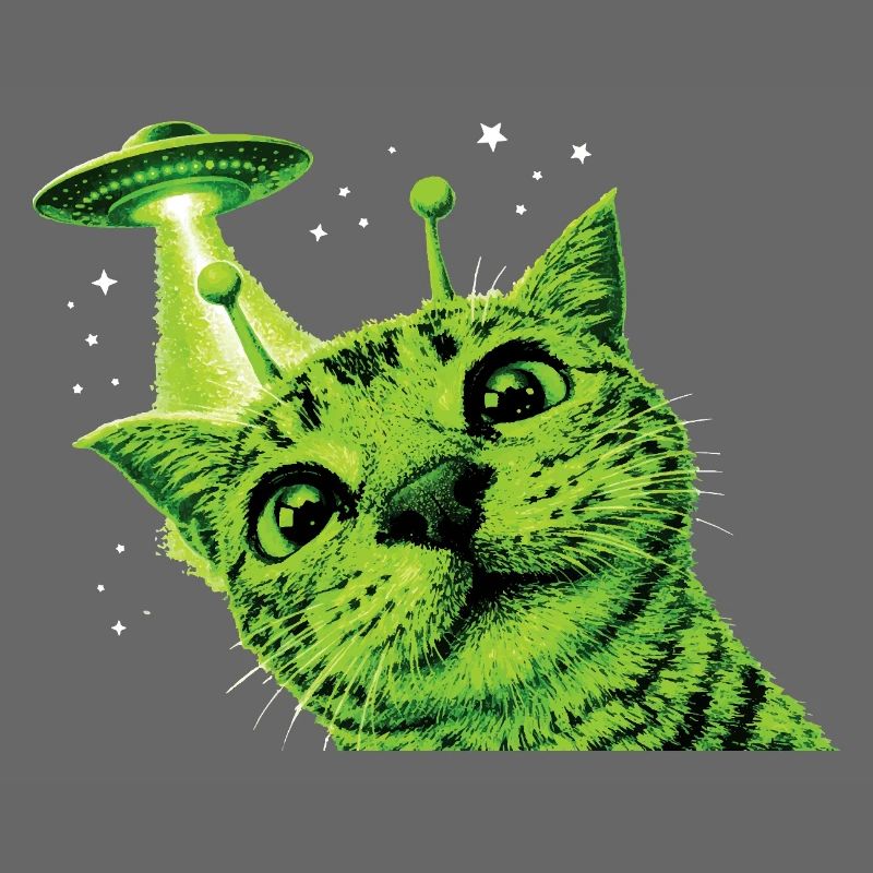 Alien Cat UFO