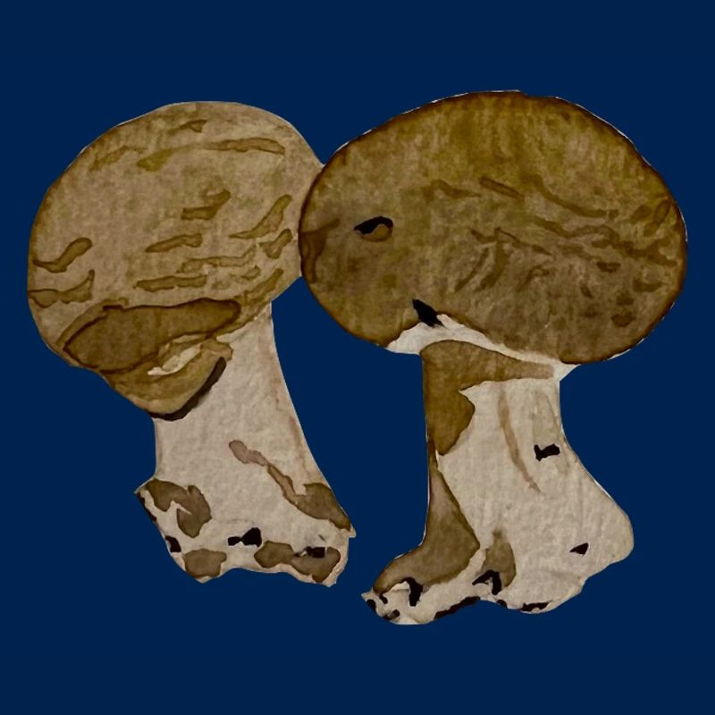 Champignons à l' aquarelle 