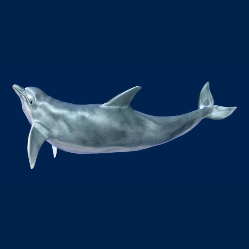 Delfin